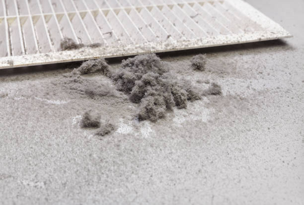 Best Residential Air Duct Cleaning  in Hodgkins, IL